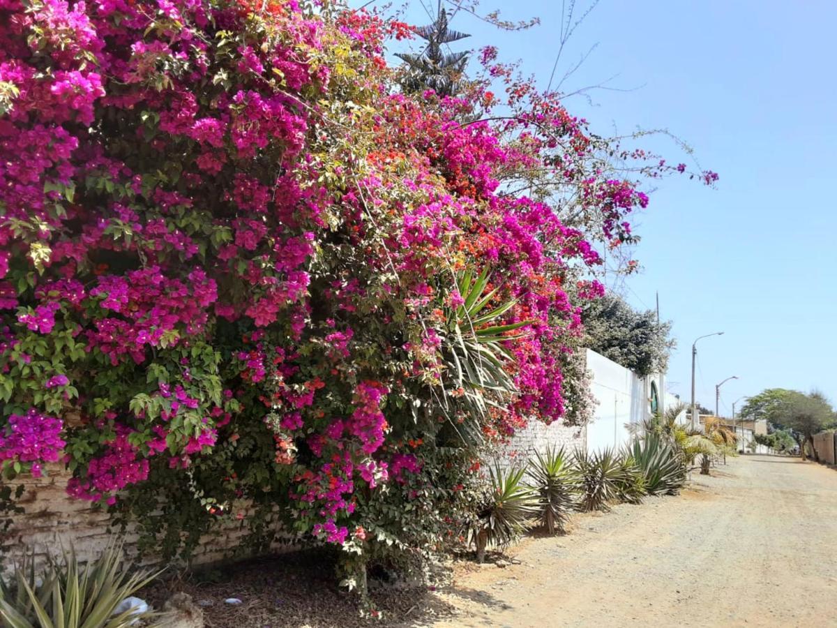 Villa Hospedaje Chanchan Cultural Lodge Τρουχίλο Εξωτερικό φωτογραφία