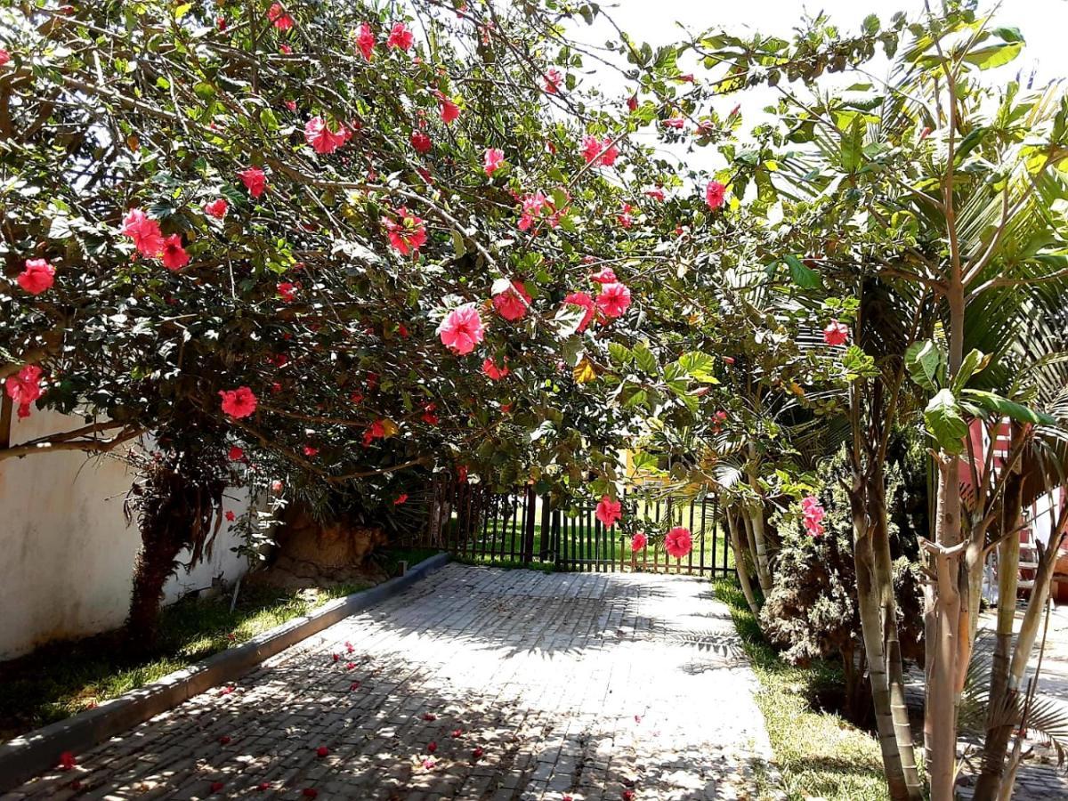 Villa Hospedaje Chanchan Cultural Lodge Τρουχίλο Εξωτερικό φωτογραφία